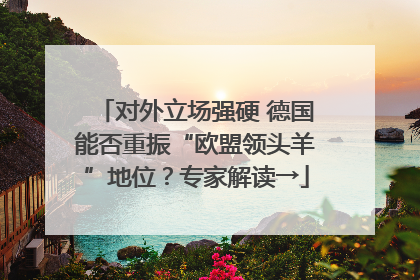 对外立场强硬 德国能否重振“欧盟领头羊”地位？专家解读→