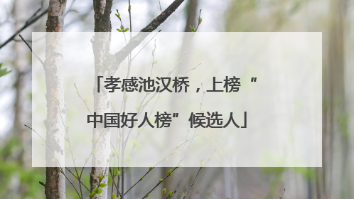 孝感池汉桥，上榜“中国好人榜”候选人
