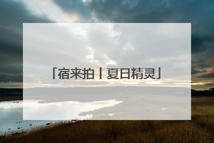 宿来拍丨夏日精灵