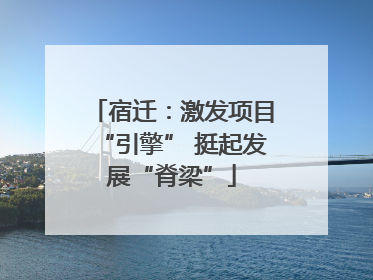 宿迁：激发项目“引擎” 挺起发展“脊梁”