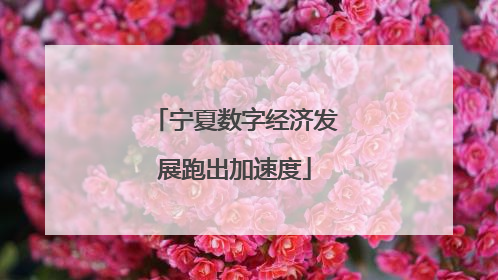宁夏数字经济发展跑出加速度