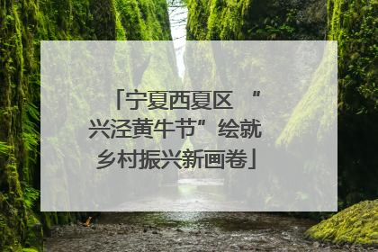 宁夏西夏区 “兴泾黄牛节”绘就乡村振兴新画卷