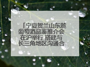 宁夏贺兰山东麓葡萄酒品鉴推介会在沪举行 搭建与长三角地区沟通合作的桥梁