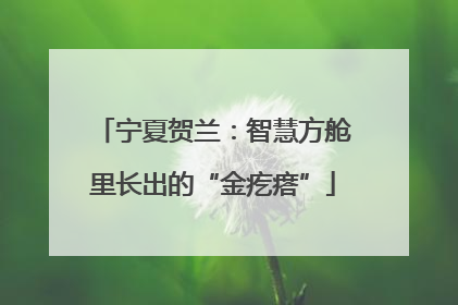 宁夏贺兰：智慧方舱里长出的“金疙瘩”