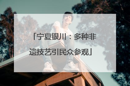宁夏银川：多种非遗技艺引民众参观