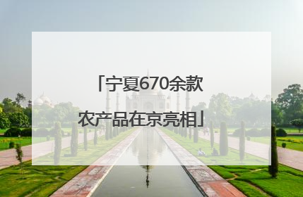 宁夏670余款农产品在京亮相