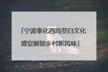 宁波奉化西坞茭白文化盛宴解锁乡村新风味