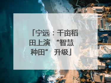 宁远：千亩稻田上演 “智慧种田” 升级