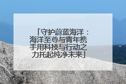守护蔚蓝海洋：海洋至尊与青年携手用科技与行动之力托起纯净未来
