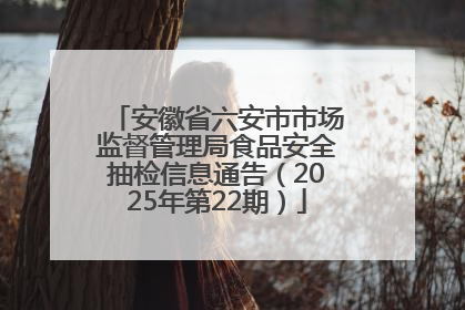 安徽省六安市市场监督管理局食品安全抽检信息通告（2025年第22期）
