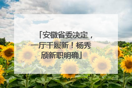 安徽省委决定，一厅干履新！杨秀颀新职明确