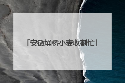 安徽埇桥小麦收割忙