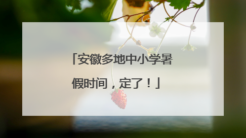 安徽多地中小学暑假时间，定了！
