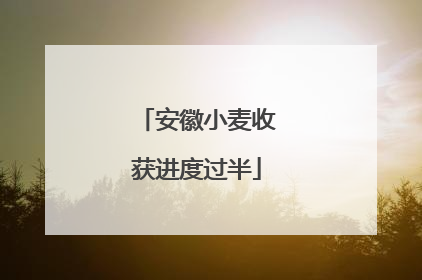 安徽小麦收获进度过半