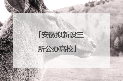安徽拟新设三所公办高校