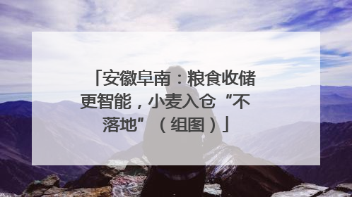 安徽阜南：粮食收储更智能，小麦入仓“不落地”（组图）