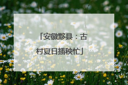 安徽黟县：古村夏日插秧忙