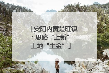 安阳内黄楚旺镇：思路“上新” 土地“生金”