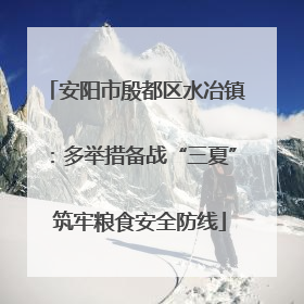 安阳市殷都区水冶镇：多举措备战“三夏” 筑牢粮食安全防线