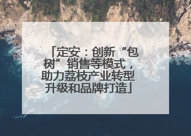 定安：创新“包树”销售等模式，助力荔枝产业转型升级和品牌打造