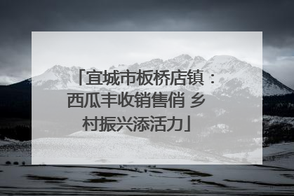 宜城市板桥店镇：西瓜丰收销售俏 乡村振兴添活力