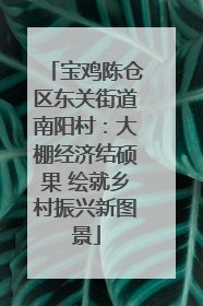 宝鸡陈仓区东关街道南阳村：大棚经济结硕果 绘就乡村振兴新图景