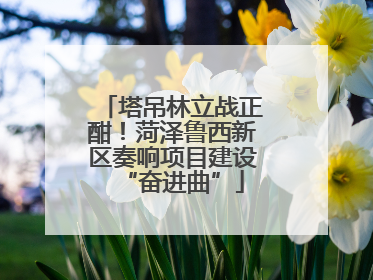 塔吊林立战正酣！菏泽鲁西新区奏响项目建设“奋进曲”