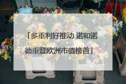 多重利好推动 诺和诺德重登欧洲市值榜首
