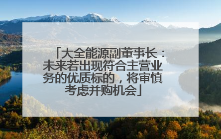 大全能源副董事长：未来若出现符合主营业务的优质标的，将审慎考虑并购机会