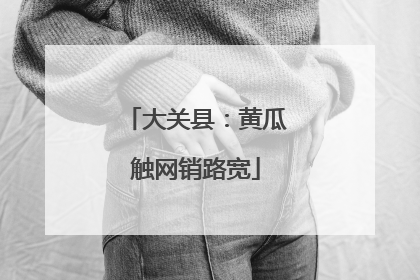 大关县：黄瓜触网销路宽