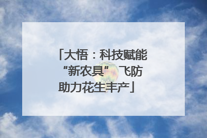 大悟：科技赋能“新农具” 飞防助力花生丰产