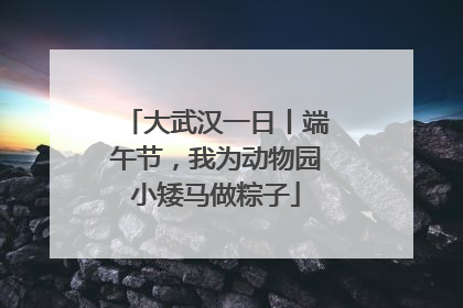 大武汉一日丨端午节，我为动物园小矮马做粽子