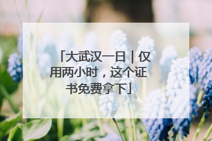 大武汉一日｜仅用两小时，这个证书免费拿下