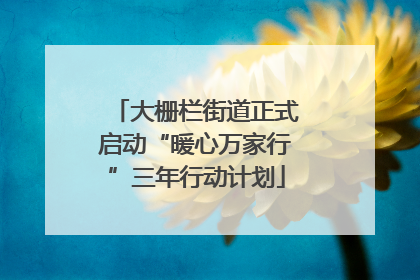 大栅栏街道正式启动“暖心万家行”三年行动计划