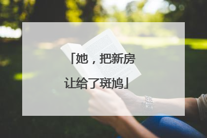 她，把新房让给了斑鸠