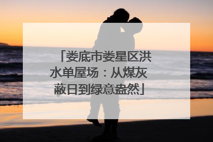 娄底市娄星区洪水单屋场：从煤灰蔽日到绿意盎然