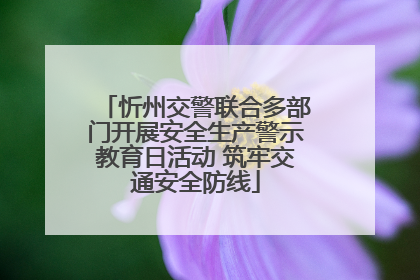 忻州交警联合多部门开展安全生产警示教育日活动 筑牢交通安全防线