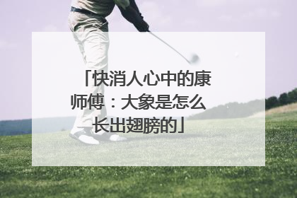 快消人心中的康师傅：大象是怎么长出翅膀的