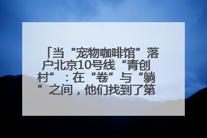当“宠物咖啡馆”落户北京10号线“青创村”：在“卷”与“躺”之间，他们找到了第三种生活公式