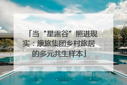 当“星露谷”照进现实：康旅集团乡村旅居的多元共生样本