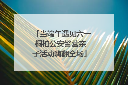当端午遇见六一 桐柏公安警营亲子活动嗨翻全场