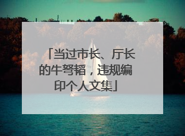 当过市长、厅长的牛弩韬，违规编印个人文集