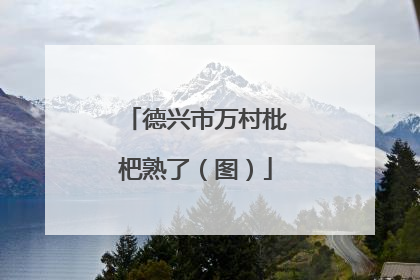 德兴市万村枇杷熟了（图）