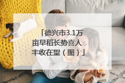 德兴市3.1万亩早稻长势喜人 丰收在望（图）