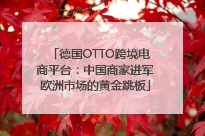 德国OTTO跨境电商平台：中国商家进军欧洲市场的黄金跳板