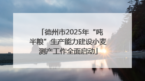 德州市2025年“吨半粮”生产能力建设小麦测产工作全面启动