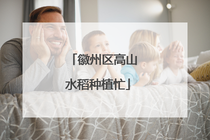 徽州区高山水稻种植忙