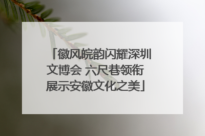 徽风皖韵闪耀深圳文博会 六尺巷领衔展示安徽文化之美