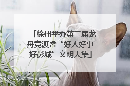 徐州举办第三届龙舟竞渡暨“好人好事好彭城”文明大集