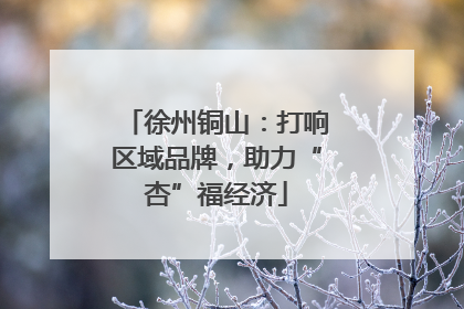 徐州铜山：打响区域品牌，助力“杏”福经济